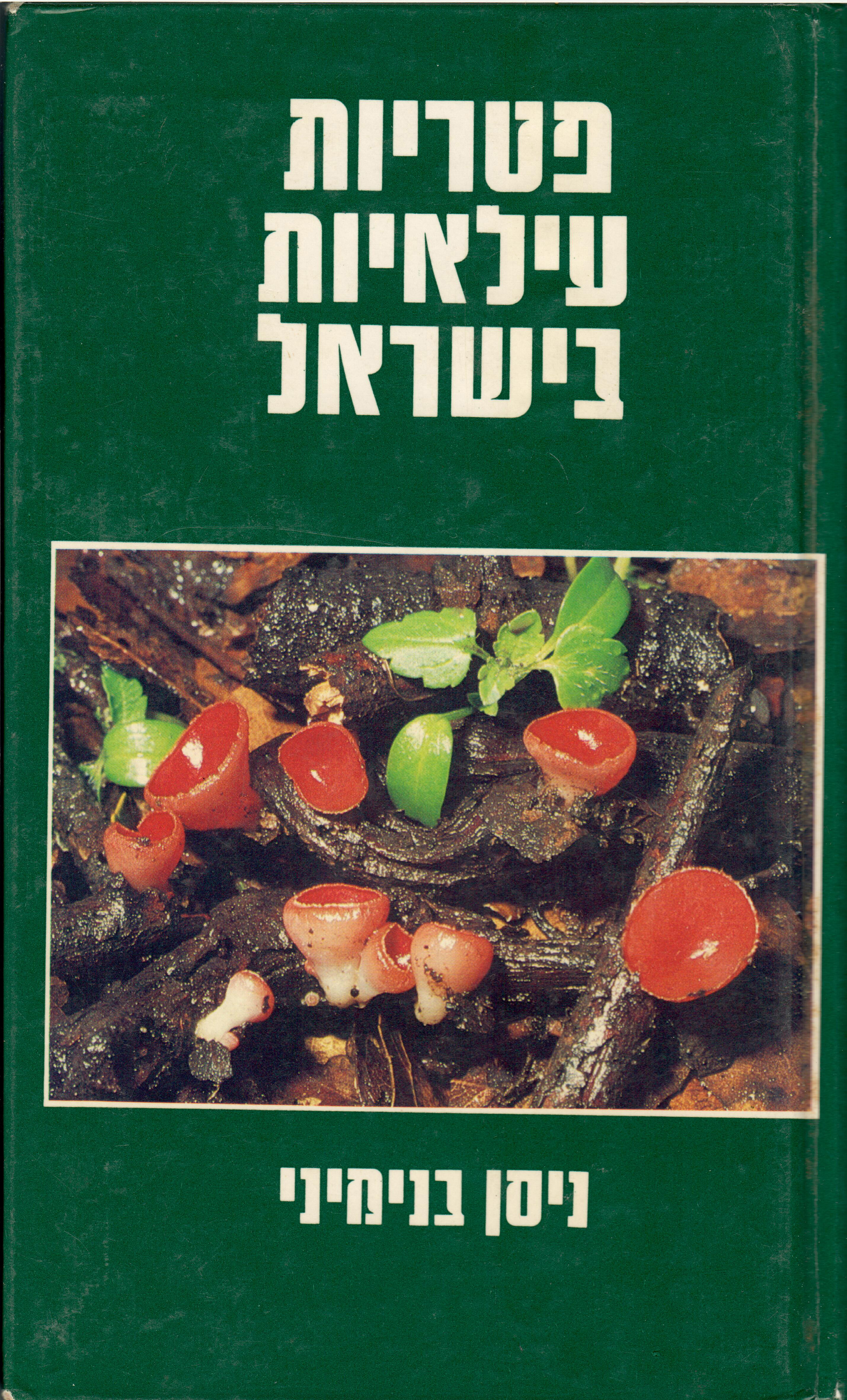 פטריות עיליות בישראל